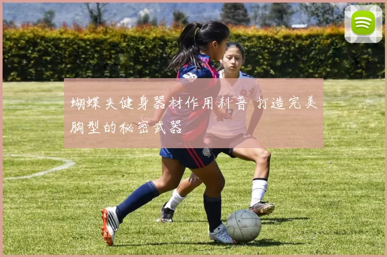 蝴蝶夹健身器材作用科普 打造完美胸型的秘密武器