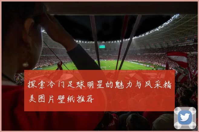 探索冷门足球明星的魅力与风采精美图片壁纸推荐