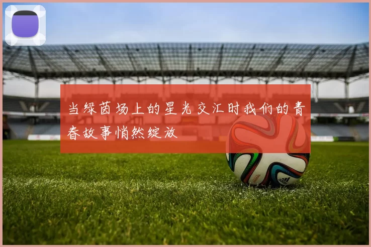 当绿茵场上的星光交汇时我们的青春故事悄然绽放