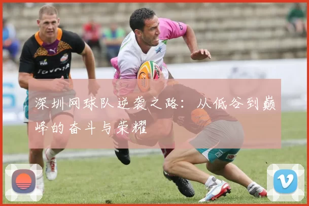 深圳网球队逆袭之路：从低谷到巅峰的奋斗与荣耀