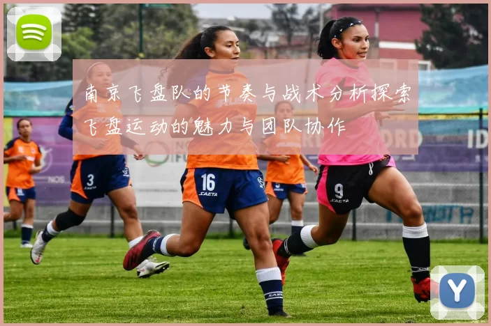 南京飞盘队的节奏与战术分析探索飞盘运动的魅力与团队协作