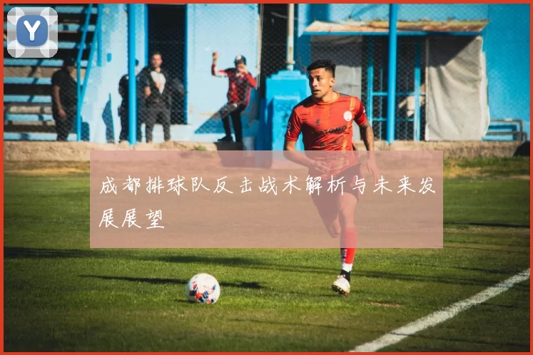成都排球队反击战术解析与未来发展展望