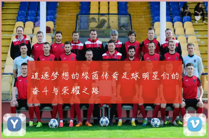 追逐梦想的绿茵传奇足球明星们的奋斗与荣耀之路