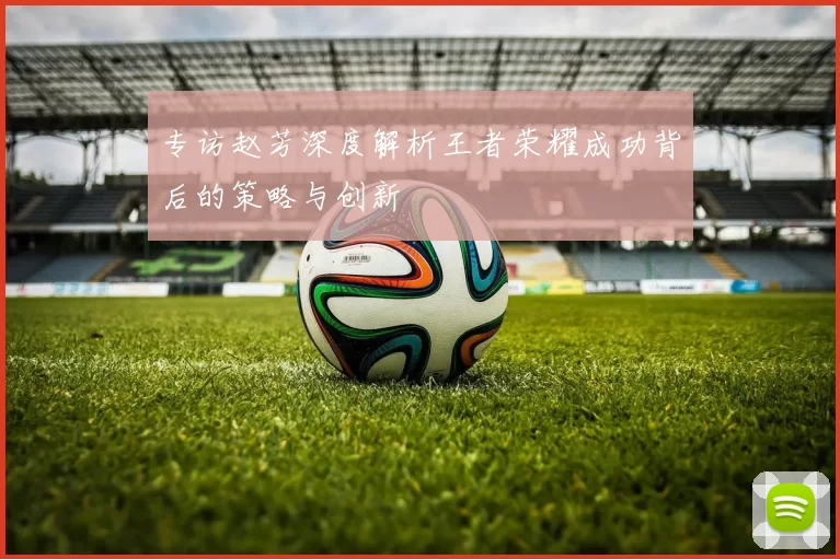 专访赵芳深度解析王者荣耀成功背后的策略与创新