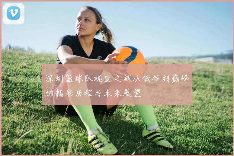 深圳篮球队蜕变之旅从低谷到巅峰的精彩历程与未来展望