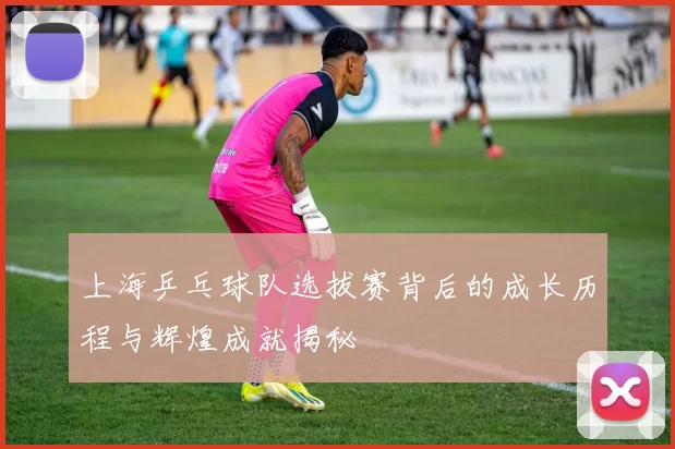 上海乒乓球队选拔赛背后的成长历程与辉煌成就揭秘