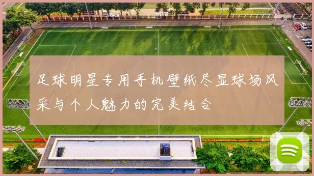 足球明星专用手机壁纸尽显球场风采与个人魅力的完美结合