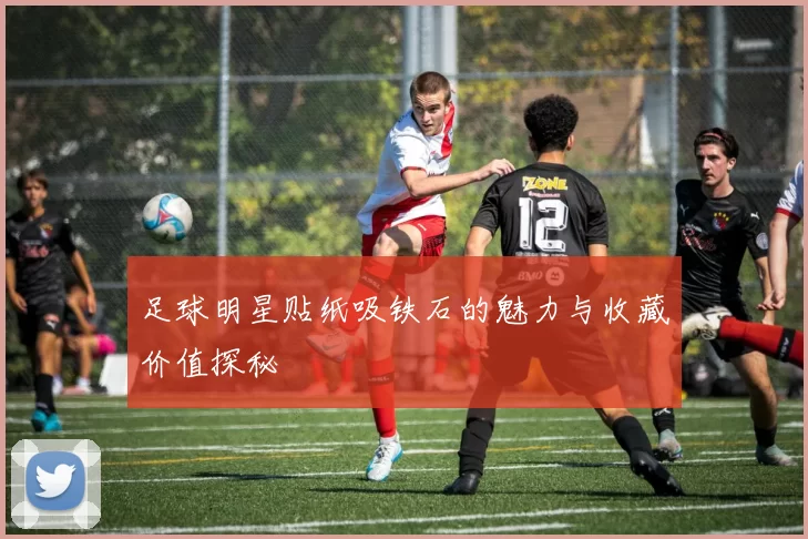 足球明星贴纸吸铁石的魅力与收藏价值探秘