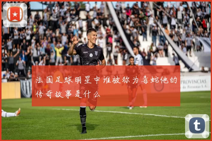 法国足球明星中谁被称为毒蛇他的传奇故事是什么