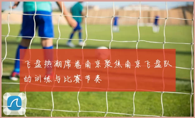 飞盘热潮席卷南京聚焦南京飞盘队的训练与比赛节奏