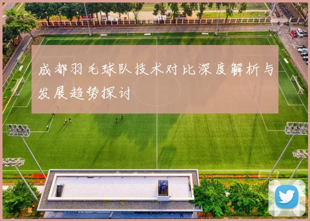 成都羽毛球队技术对比深度解析与发展趋势探讨