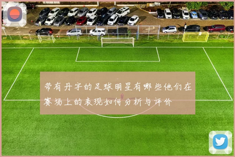 带有丹字的足球明星有哪些他们在赛场上的表现如何分析与评价