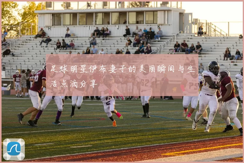 足球明星伊布妻子的美丽瞬间与生活点滴分享