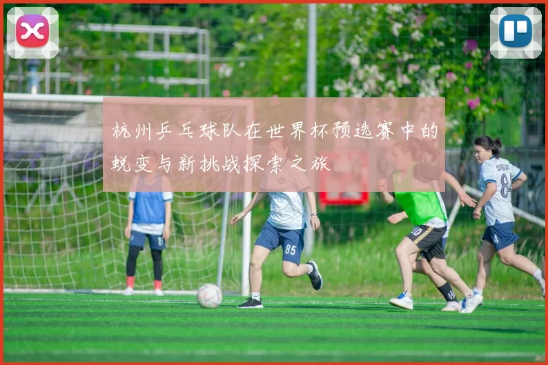 杭州乒乓球队在世界杯预选赛中的蜕变与新挑战探索之旅