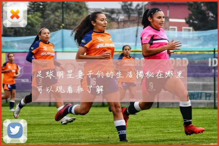 足球明星妻子们的生活揭秘在哪里可以观看和了解