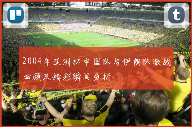 2004年亚洲杯中国队与伊朗队激战回顾及精彩瞬间分析