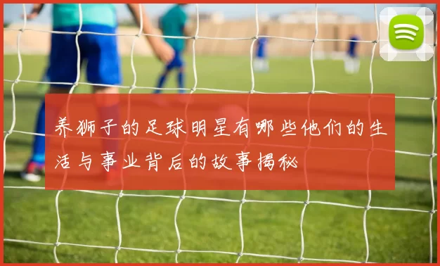 养狮子的足球明星有哪些他们的生活与事业背后的故事揭秘