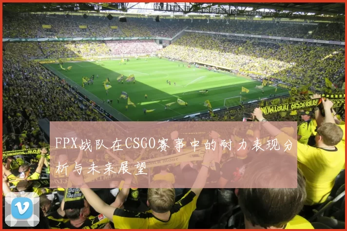 FPX战队在CSGO赛事中的耐力表现分析与未来展望