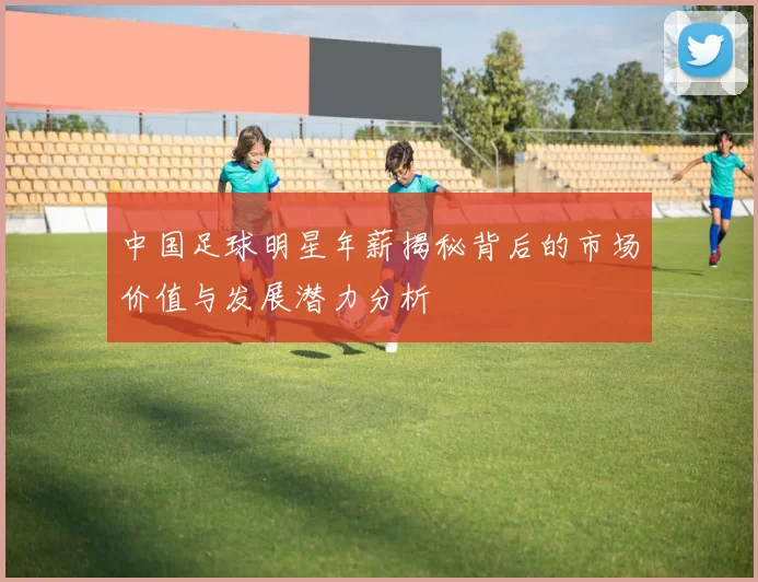 中国足球明星年薪揭秘背后的市场价值与发展潜力分析