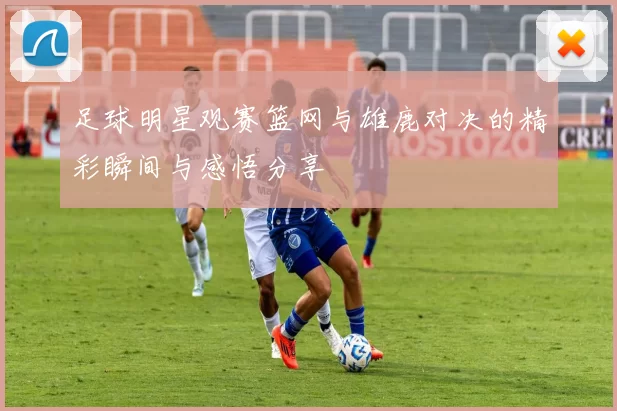 足球明星观赛篮网与雄鹿对决的精彩瞬间与感悟分享
