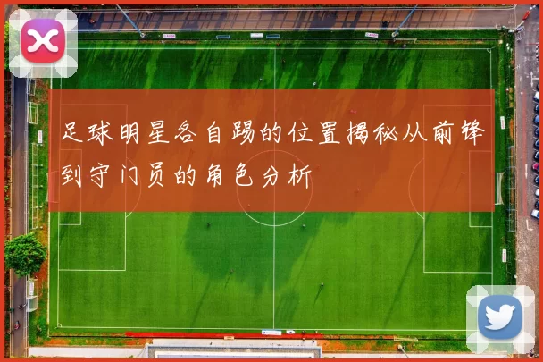 足球明星各自踢的位置揭秘从前锋到守门员的角色分析