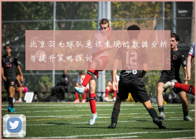 北京羽毛球队意识表现的数据分析与提升策略探讨