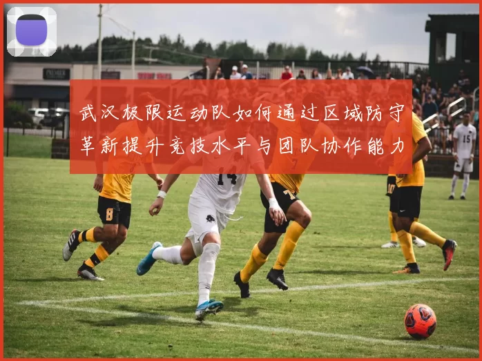 武汉极限运动队如何通过区域防守革新提升竞技水平与团队协作能力