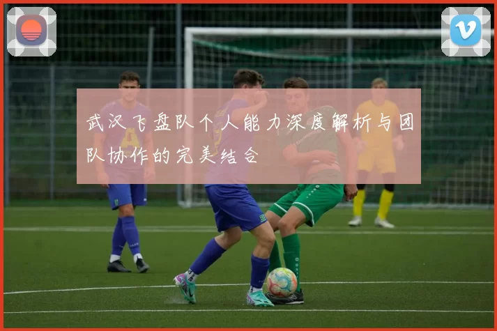 武汉飞盘队个人能力深度解析与团队协作的完美结合