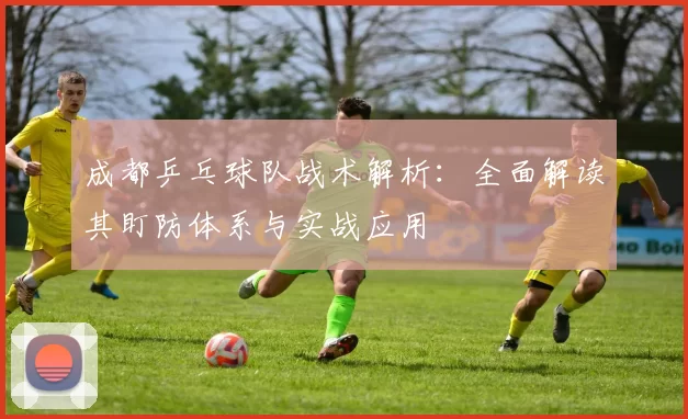 成都乒乓球队战术解析：全面解读其盯防体系与实战应用