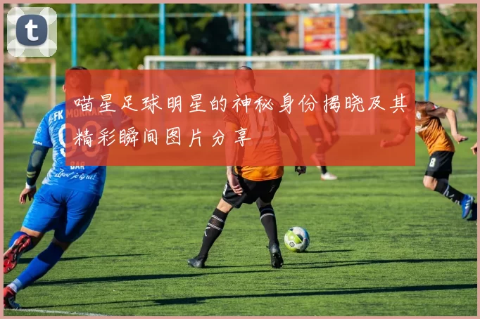 喵星足球明星的神秘身份揭晓及其精彩瞬间图片分享