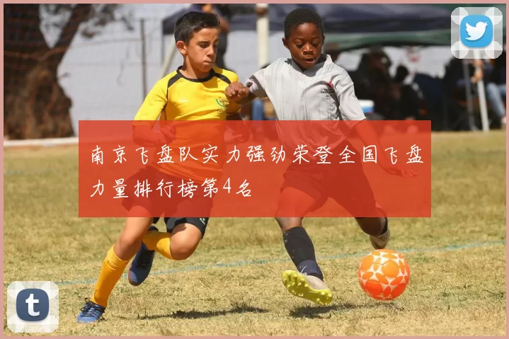 南京飞盘队实力强劲荣登全国飞盘力量排行榜第4名