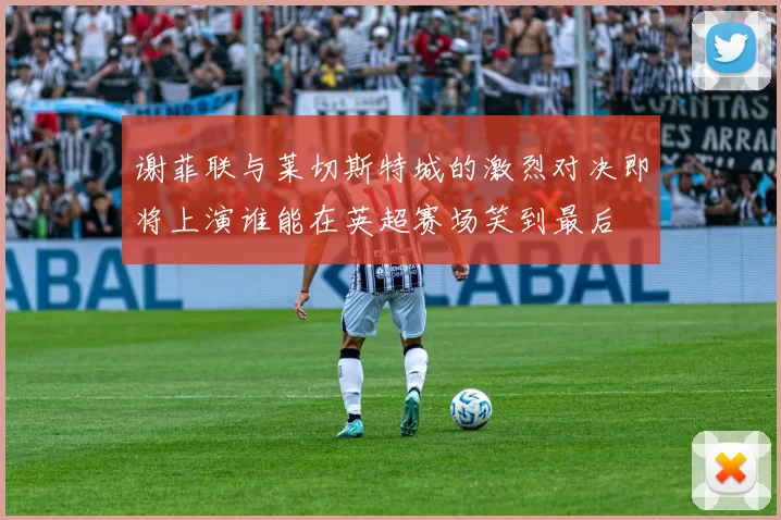 谢菲联与莱切斯特城的激烈对决即将上演谁能在英超赛场笑到最后