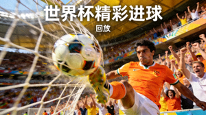 世界杯精彩进球回放视频缩略图