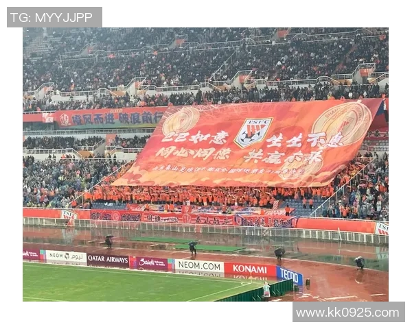 天津天海与山东鲁能对决分析及大小球投注建议